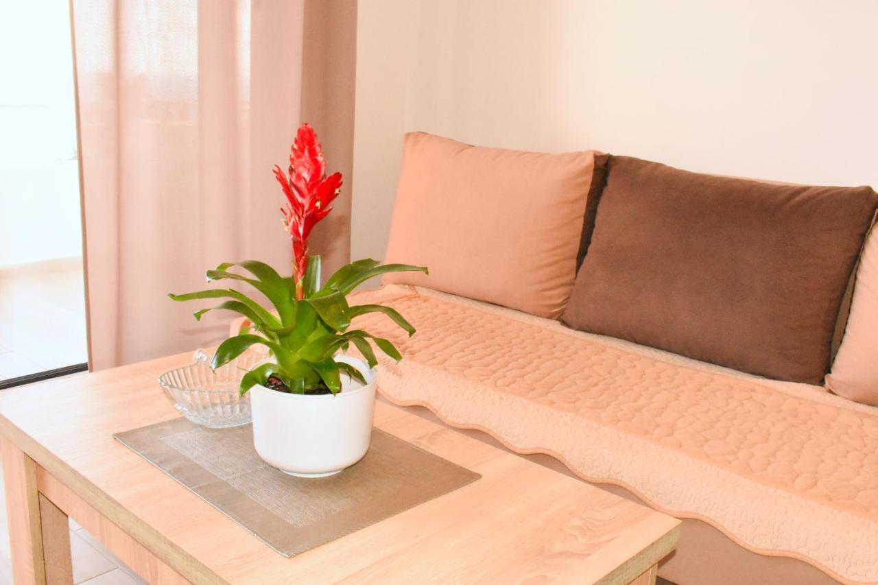 Studio Apartments Jupo 울친 외부 사진